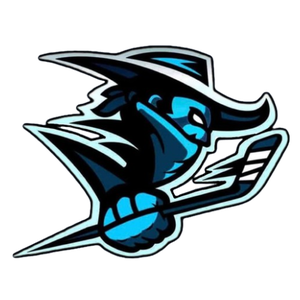 Blackburn Renegades